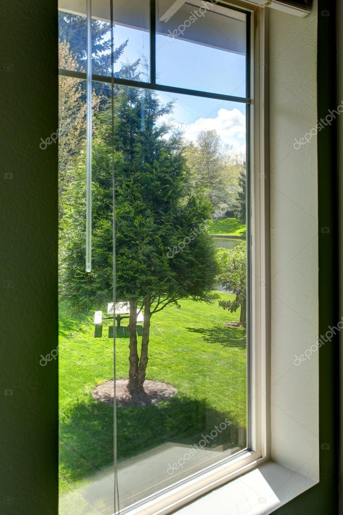 Backyard View Through The Window Stock Photo C Iriana88w 49958073