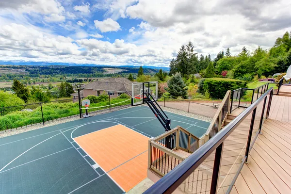 House backyard with sport court and patio area. View from walkou