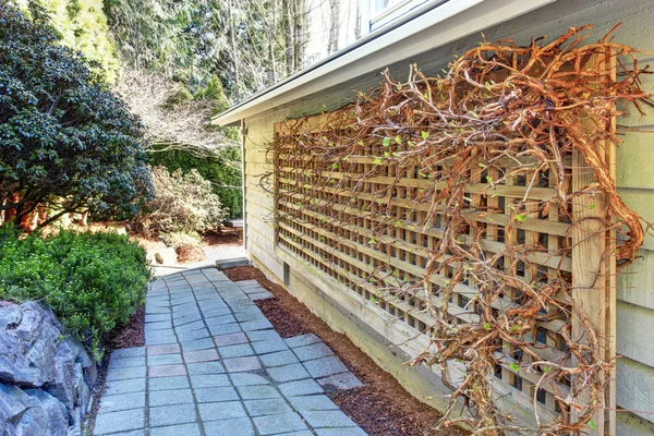 Cour arrière avec passerelle et grille attachée au mur — Photo