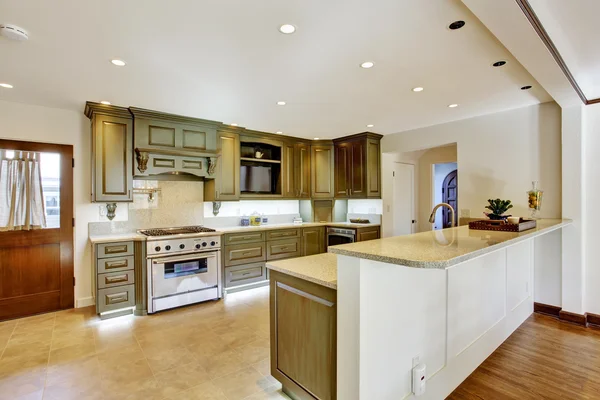 Luxury khaki kitchen interior — Stock Photo, Image