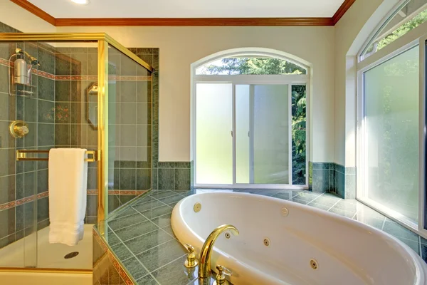 Велика ванна кімната з джакузі , — стокове фото