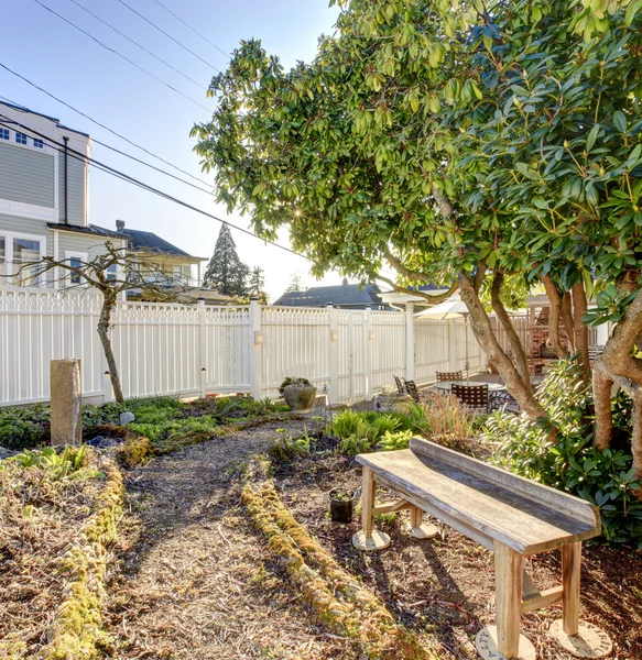 Kleine achtertuin tuin met houten bench — Stockfoto