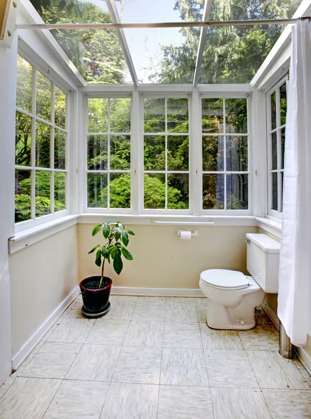 Salle de bain à la campagne avec mur de verre et plafond — Photo