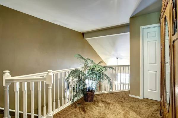 Bovenverdieping dek met balustrade en palm tree — Stockfoto