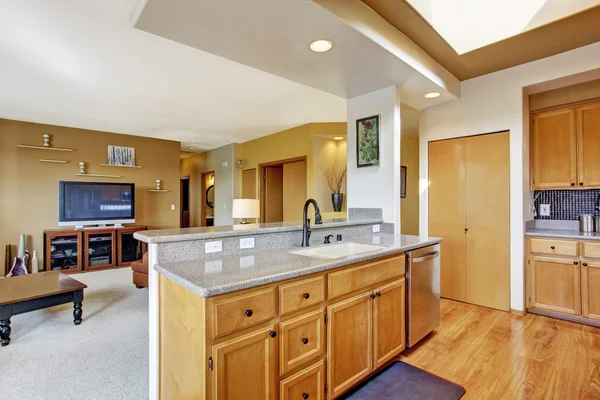 Interior de la casa. Cocina y sala de estar — Foto de Stock