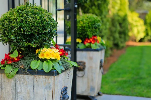 Cancello con vasi di fiori in legno — Foto Stock