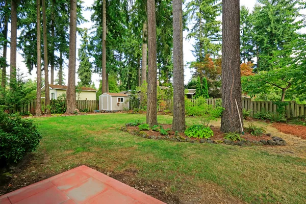 Patio trasero de la casa del campo con árboles — Foto de Stock