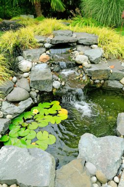 Yaz bahçe şelale. peyzaj tasarımı fikir