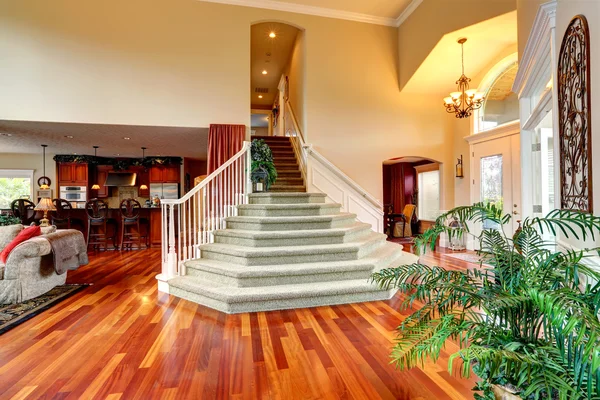 Maison de luxe intérieur. Foyer avec bel escalier — Photo