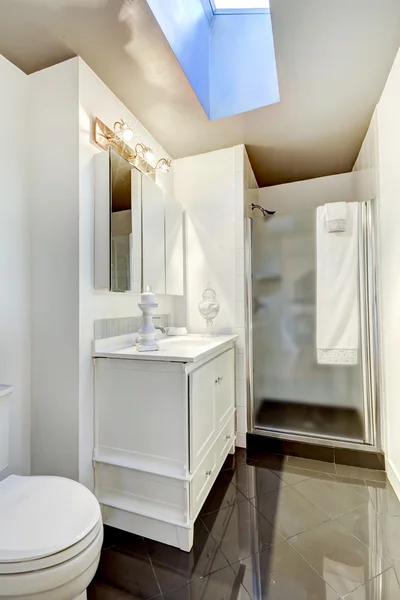 Interior de baño simple con ducha de puerta de vidrio — Foto de Stock