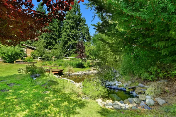 Groene achtertuin met vijver. landschap ideeën — Stockfoto