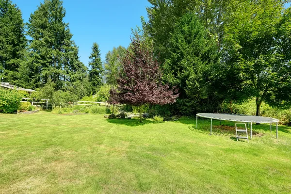 Green backyard with trampoline — Stock Photo, Image