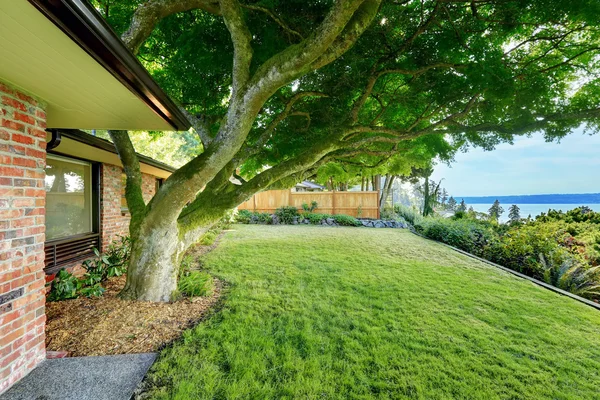 Amazing view from walkout basement — Stock Photo, Image