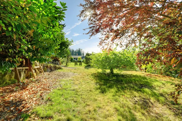 Hem trädgård med utomhus rastplats — Stockfoto