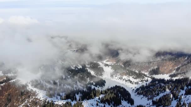 Inverno Montagna Montagne Coprono Nuvole Pendii Sono Coperti Conifere — Video Stock