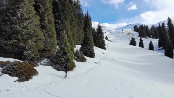 リュックを背負った男が冬に山に登る 天気の良い日に冬のハイキング 新鮮な空気 — ストック動画