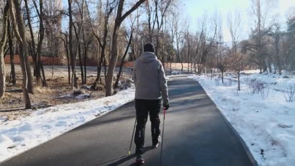 Man Engaged Scandinavian Walking Winter Park — Stock Video