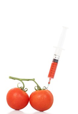 Genetiği değiştirilmiş domates