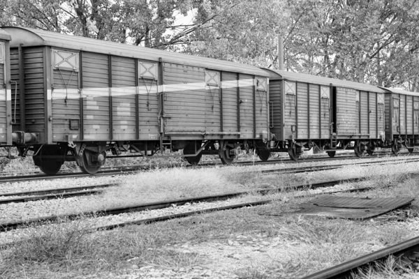 Yük Treni — Stok fotoğraf