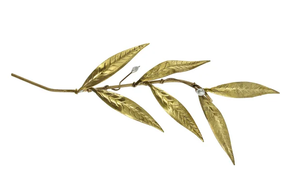 Ramoscello d'oliva dorato — Foto Stock
