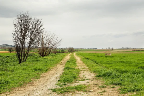 Landelijke weg — Stockfoto