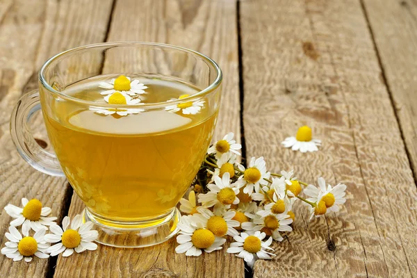 Té de manzanilla — Foto de Stock