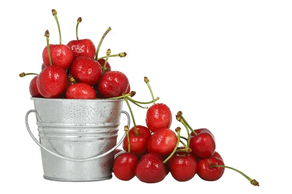 Cerezas en cubo — Foto de Stock