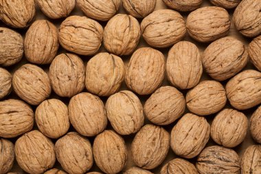 tüm ceviz grubunun düz görünümü