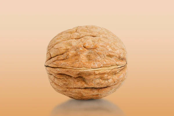 Macro Single Walnut Isolated Gradient — Stock Photo, Image