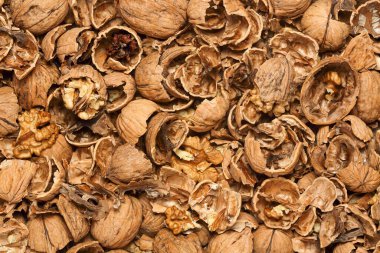 Kırık ceviz kabukları. Arka plan için yakın plan.