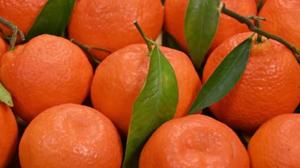 Tiro Deslizante Mandarinas Frescas Sobre Madera — Vídeos de Stock