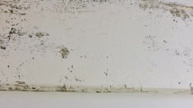 Küf banyonun duvarında, tava atışı.