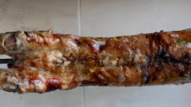 Rotating Lamb Spit Hot Charcoal — Vídeo de Stock