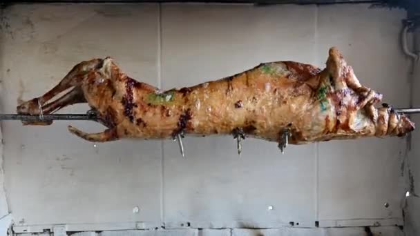 Rotating Lamb Spit Hot Charcoal — Wideo stockowe