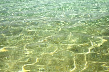 Güneşli bir günde güzel yeşil deniz