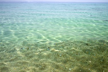 Güneşli bir günde güzel yeşil deniz