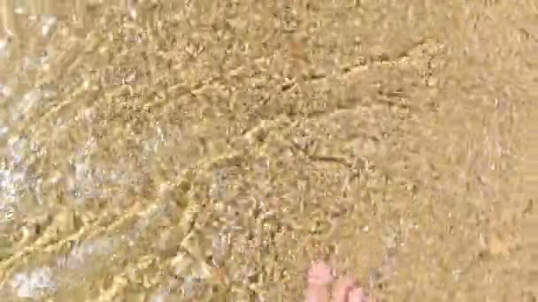 俯瞰人类在海滩上行走的景象 — 图库视频影像