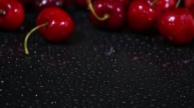 Güneşli bir günde açan papatya çiçekleri