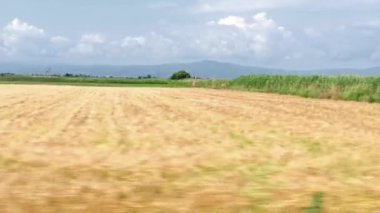 Güneşli yaz gününde tarlalar boyunca hızlı sürüş.