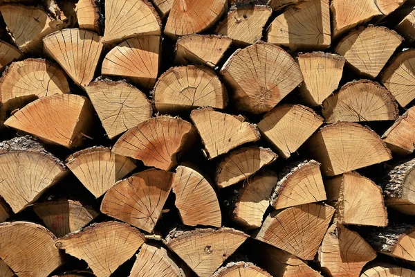 Stacked Wood Logs Firewood Prepared Winter Heating — Stockfoto