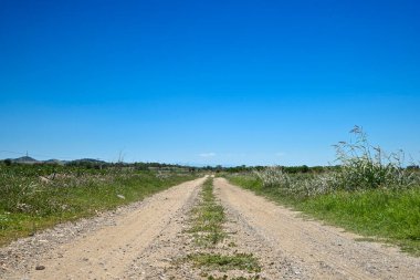 Kırsal toprak yol güneşli bir günde tarlalardan geçiyor, mavi gökyüzü