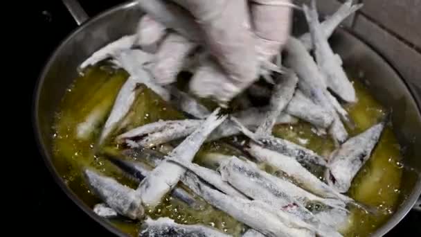 Pessoa Adicionando Peixe Cru Frigideira Tempo Real — Vídeo de Stock