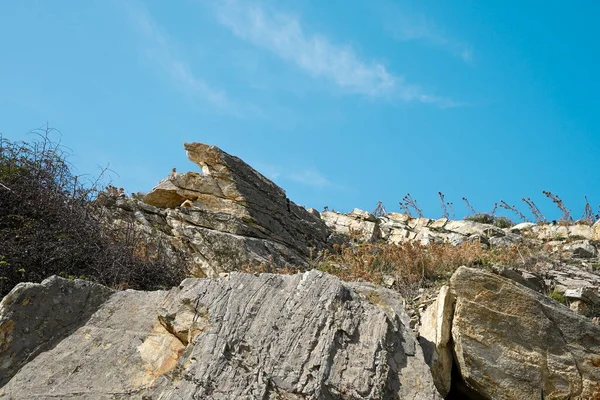 美丽的岩石 阳光灿烂的蓝天 — 图库照片