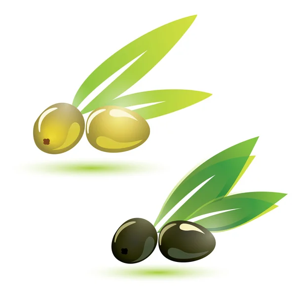 Aceitunas verdes y negras, ilustración vectorial aislado — Vector de stock