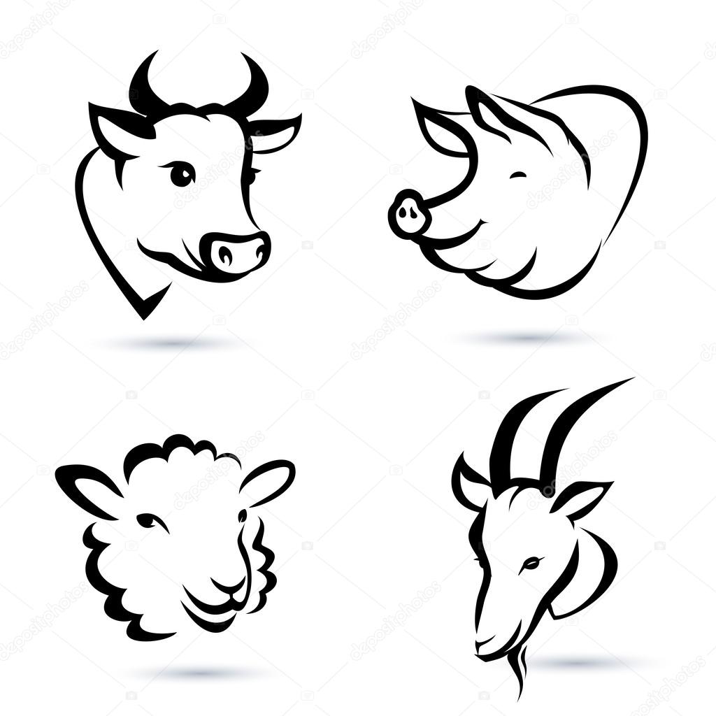 photo Outline Face Sheep Head 1 531 outline sheep head vectors free royalty free outline sheep head vector images depositphotos