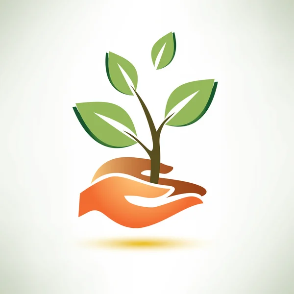 Symbole de palme et végétale, concept d'écologie — Image vectorielle