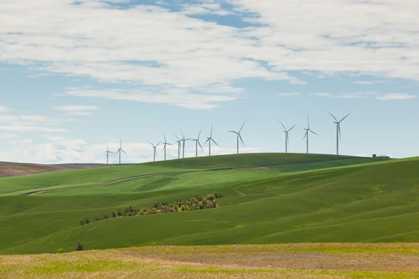 Terreno agricolo con mulini a vento — Foto Stock