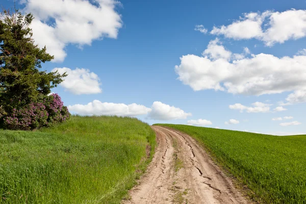 The Road Less Traveled — Stock Photo, Image