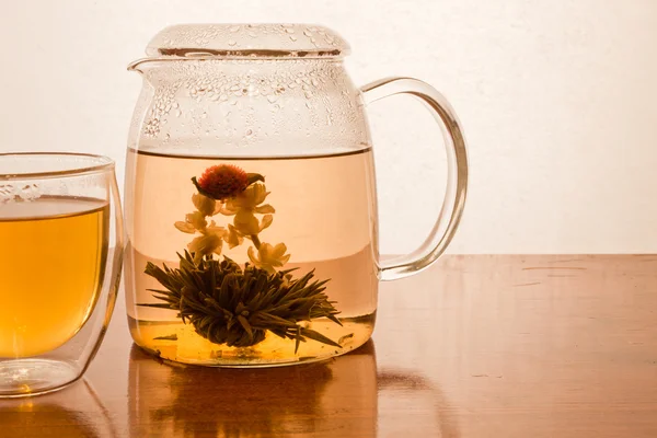 Fleur de thé vert — Photo