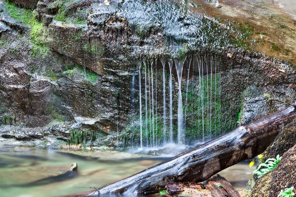 Cortina de cachoeira — Fotografia de Stock